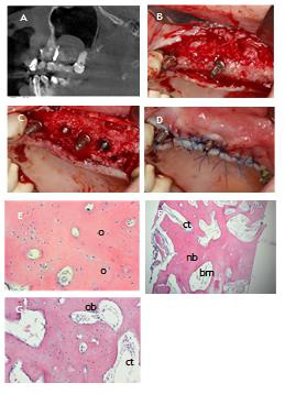 biomedres-openaccess-journal-bjstr