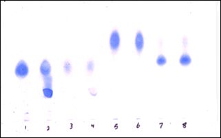 biomedres-openaccess-journal-bjstr