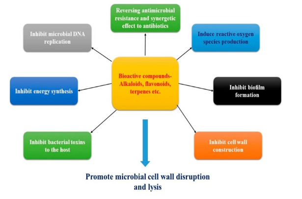 biomedres-openaccess-journal-bjstr