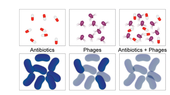 biomedres-openaccess-journal-bjstr