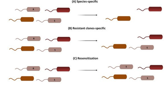 biomedres-openaccess-journal-bjstr