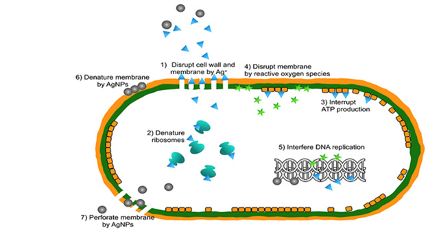 biomedres-openaccess-journal-bjstr