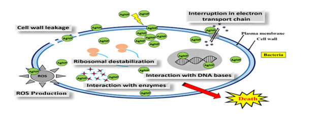 biomedres-openaccess-journal-bjstr