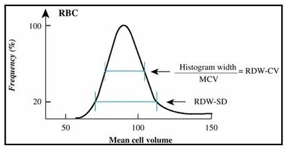 biomedres-openaccess-journal-bjstr