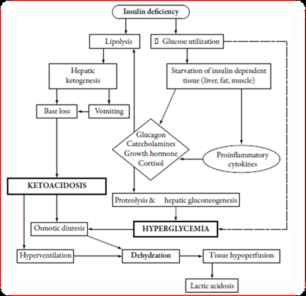 biomedres-openaccess-journal-bjstr