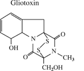 biomedres-openaccess-journal-bjstr