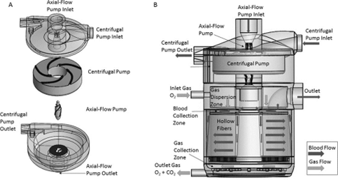 Click here to view Large Figure 1 biomedres-openaccess-journal-bjstr