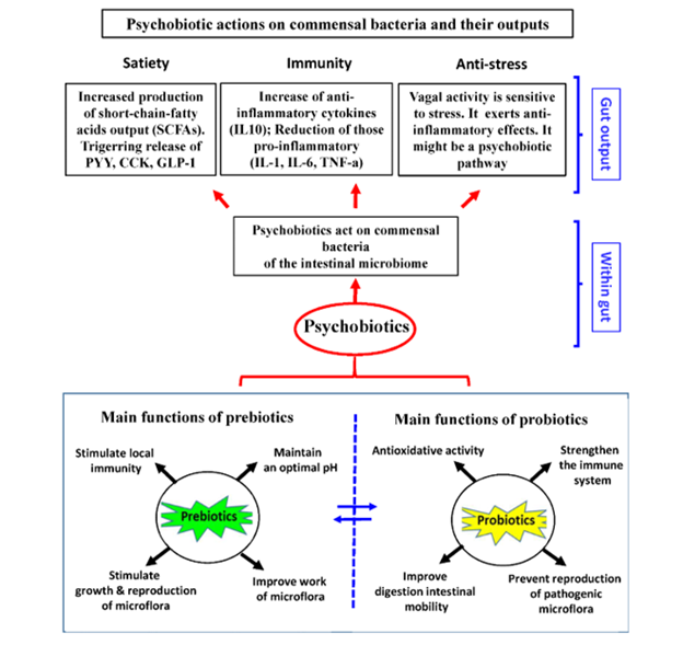 biomedres-openaccess-journal-bjstr