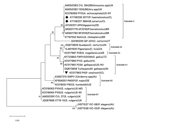 Click here to view Large Figure 1 biomedres-openaccess-journal-bjstr