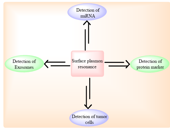 biomedres-openaccess-journal-bjstr