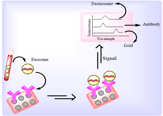 biomedres-openaccess-journal-bjstr