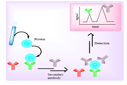 biomedres-openaccess-journal-bjstr