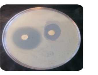 biomedres-openaccess-journal-bjstr