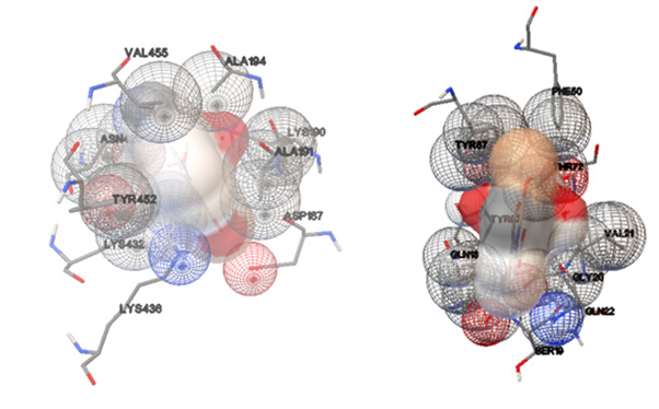 biomedres-openaccess-journal-bjstr