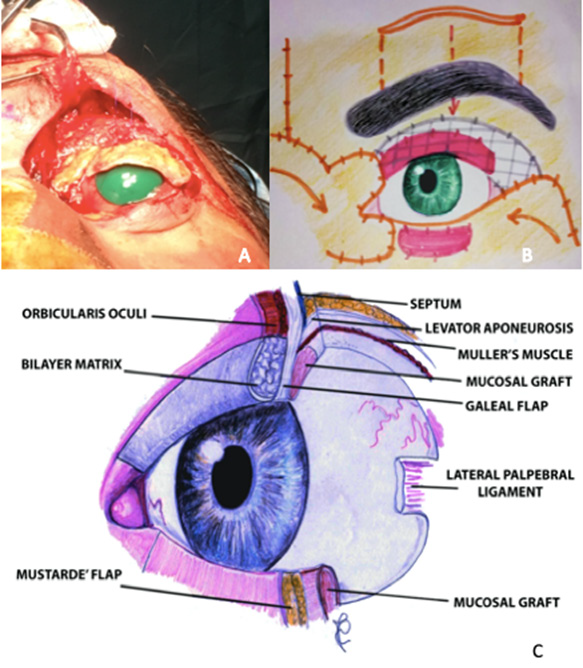 biomedres-openaccess-journal-bjstr