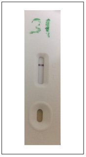 biomedres-openaccess-journal-bjstr