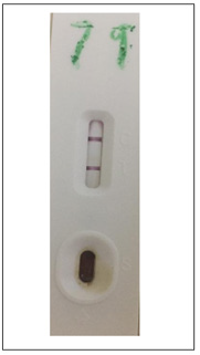 biomedres-openaccess-journal-bjstr