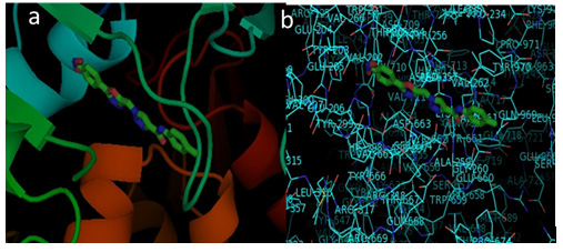 Click here to view Large Figure 3 biomedres-openaccess-journal-bjstr
