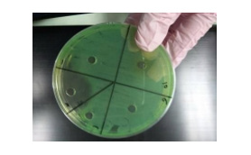biomedres-openaccess-journal-bjstr
