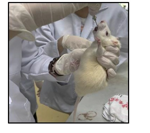 biomedres-openaccess-journal-bjstr