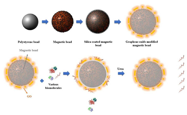 Click here to view Large Figure 6 biomedres-openaccess-journal-bjstr