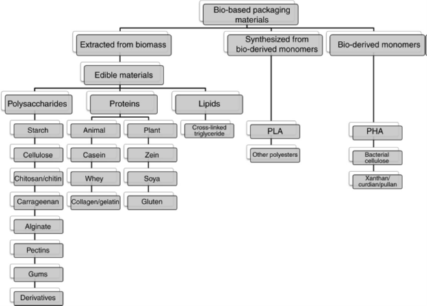 biomedres-openaccess-journal-bjstr