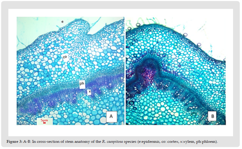 Click here to view Large Figure 3 biomedres-openaccess-journal-bjstr