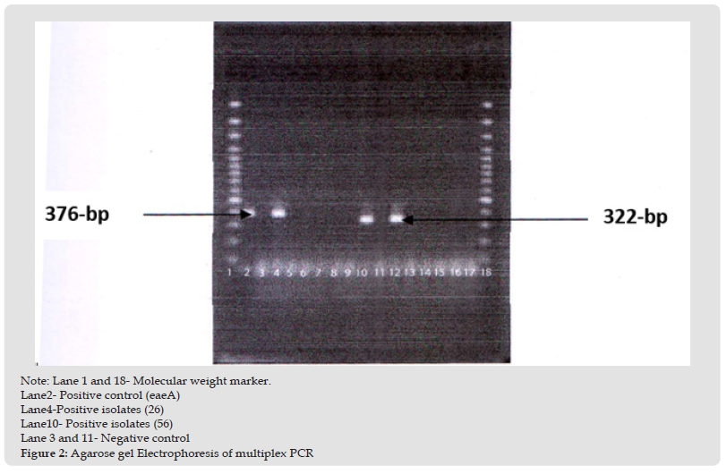 Click here to view Large Figure 2 biomedres-openaccess-journal-bjstr