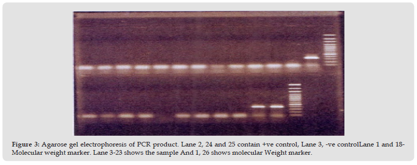 Click here to view Large Figure 3 biomedres-openaccess-journal-bjstr
