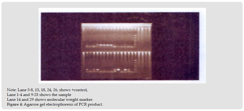 Click here to view Large Figure 4 biomedres-openaccess-journal-bjstr