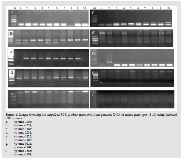 Click here to view Large Figure 1 biomedres-openaccess-journal-bjstr