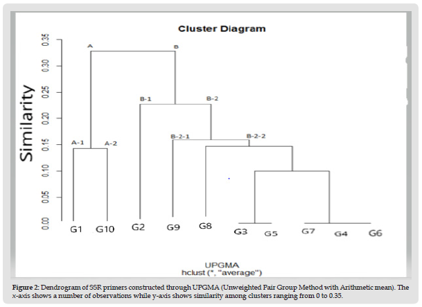 Click here to view Large Figure 2 biomedres-openaccess-journal-bjstr