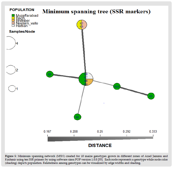 Click here to view Large Figure 5 biomedres-openaccess-journal-bjstr