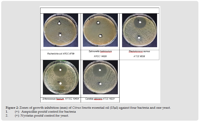 Click here to view Large Figure 2 biomedres-openaccess-journal-bjstr