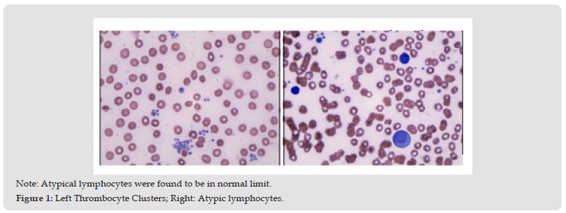 Click here to view Large Figure 1 biomedres-openaccess-journal-bjstr