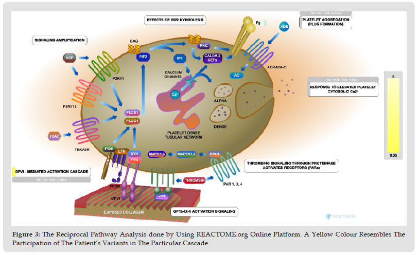 Click here to view Large Figure 3 biomedres-openaccess-journal-bjstr