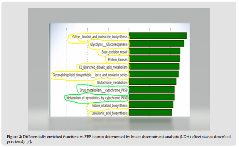 Click here to view Large Figure 2 biomedres-openaccess-journal-bjstr