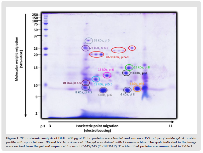 Click here to view Large Figure 2 biomedres-openaccess-journal-bjstr