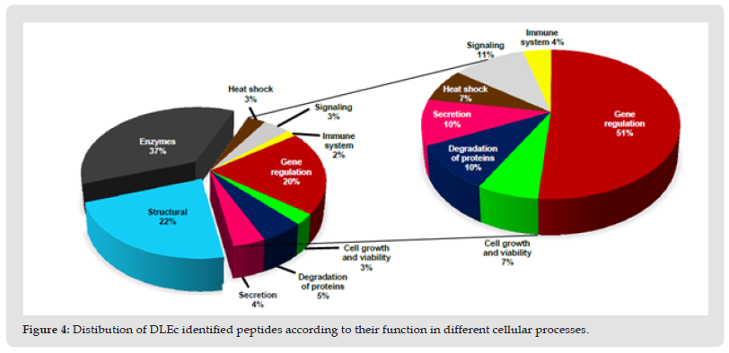 Click here to view Large Figure 5 biomedres-openaccess-journal-bjstr