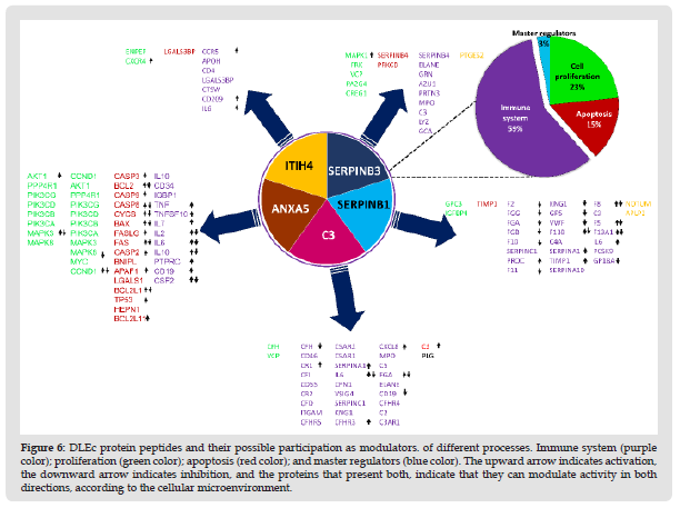 Click here to view Large Figure 7 biomedres-openaccess-journal-bjstr