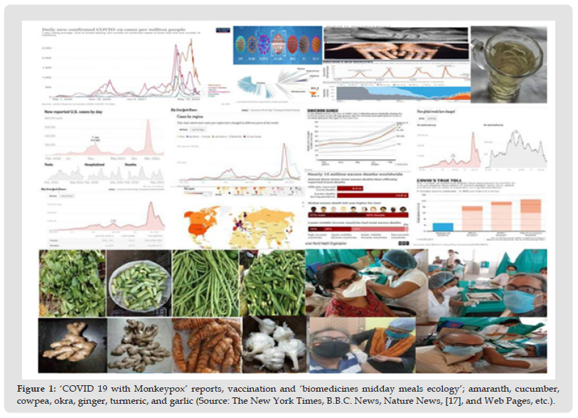 Click here to view Large Figure 1 biomedres-openaccess-journal-bjstr