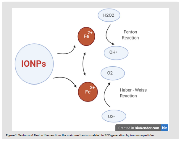Click here to view Large Figure 1 biomedres-openaccess-journal-bjstr