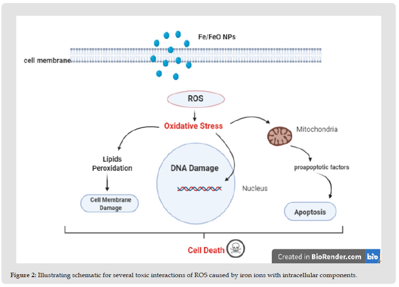 Click here to view Large Figure 2 biomedres-openaccess-journal-bjstr