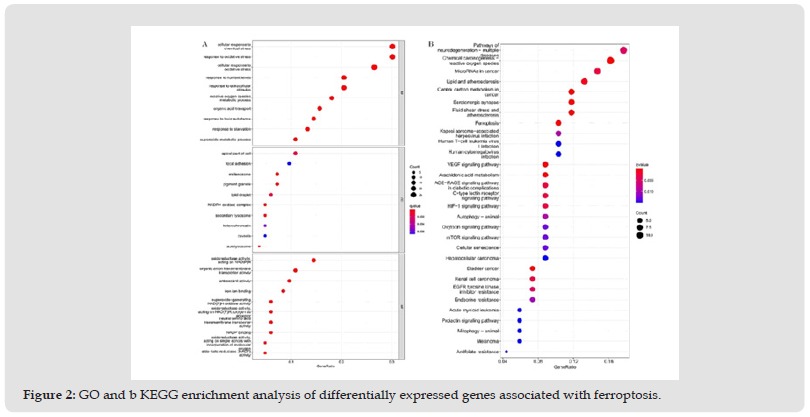 Click here to view Large Figure 2 biomedres-openaccess-journal-bjstr