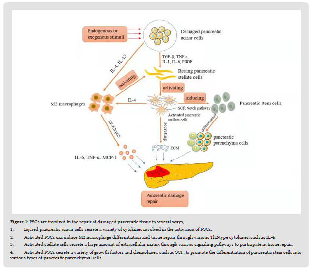 Click here to view Large Figure 1 biomedres-openaccess-journal-bjstr