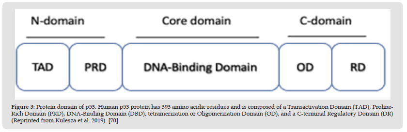 Click here to view Large Figure 3 biomedres-openaccess-journal-bjstr
