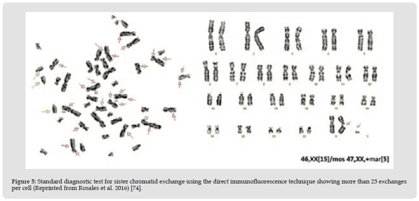 Click here to view Large Figure 5 biomedres-openaccess-journal-bjstr