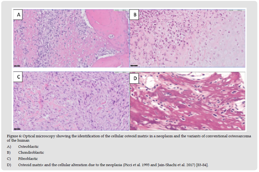 Click here to view Large Figure 6 biomedres-openaccess-journal-bjstr