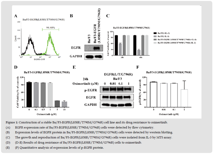 Click here to view Large Figure 1 biomedres-openaccess-journal-bjstr