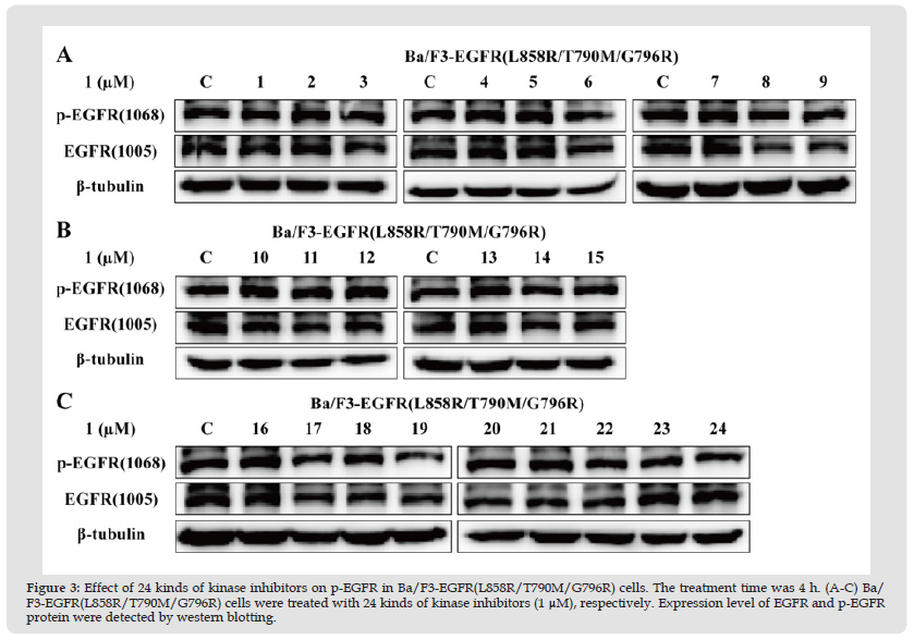 Click here to view Large Figure 3 biomedres-openaccess-journal-bjstr